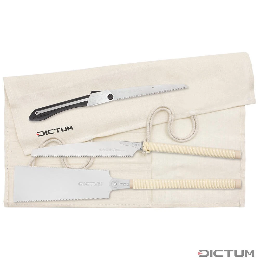 Jeu De Scies De Menuiserie DICTUM, 3 Pièces